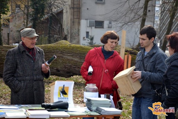 Ptički so se v Murski Soboti že ženili 
